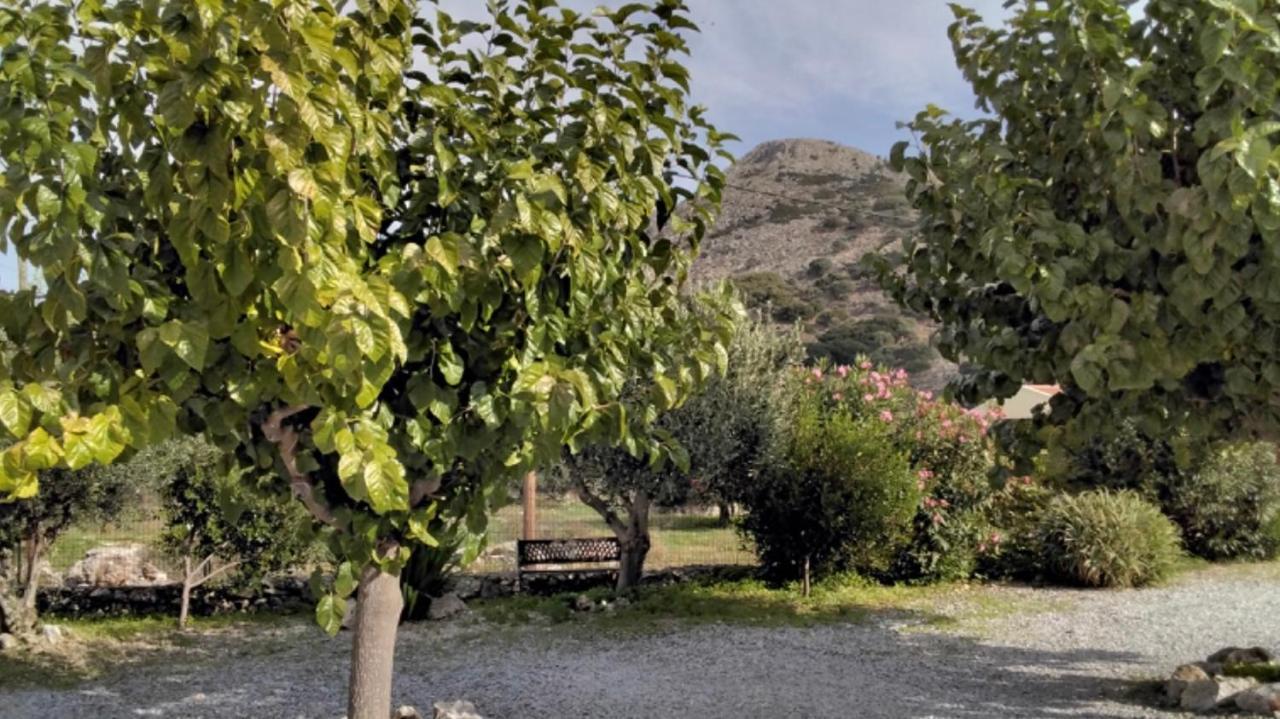 Holiday home Leftheris Dhrapanos